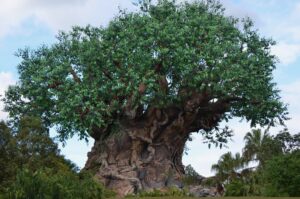 Read more about the article Where to eat Breakfast at Disney’s Animal Kingdom – quick service