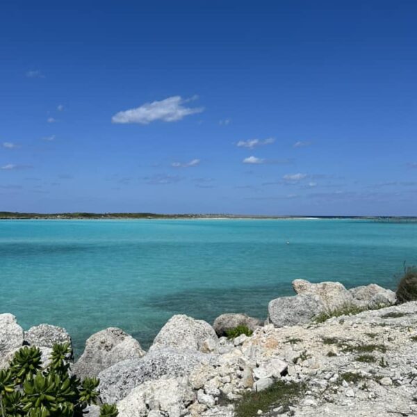 blue lagoon waters with white shore at Disney Castaway Cay