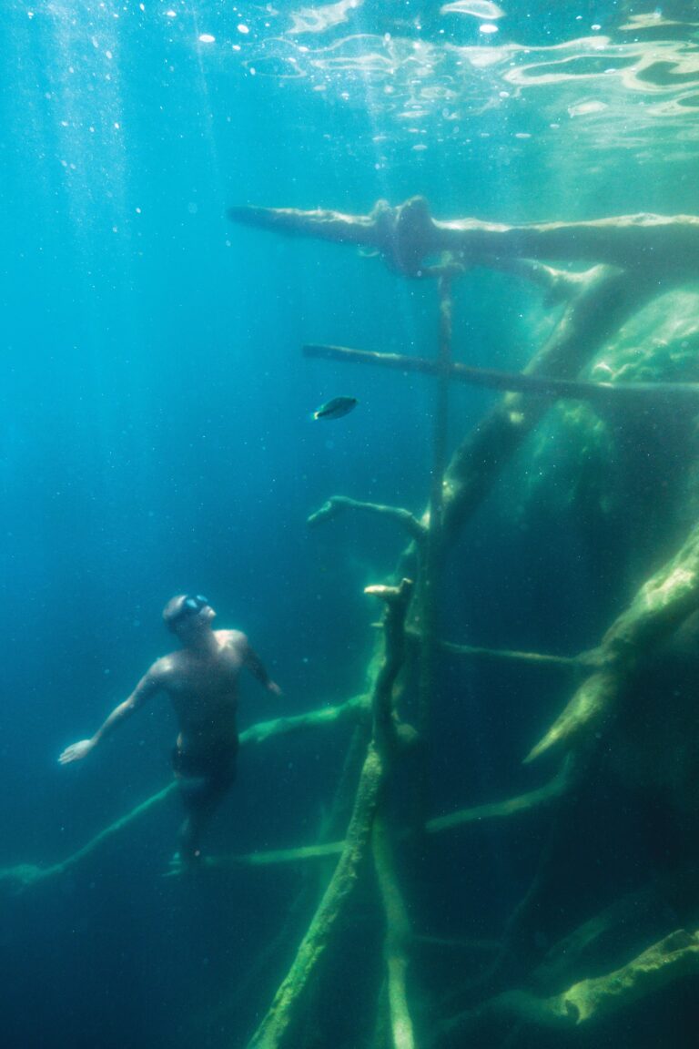 Man swimming on Costa Maya snorkel cruise excursion