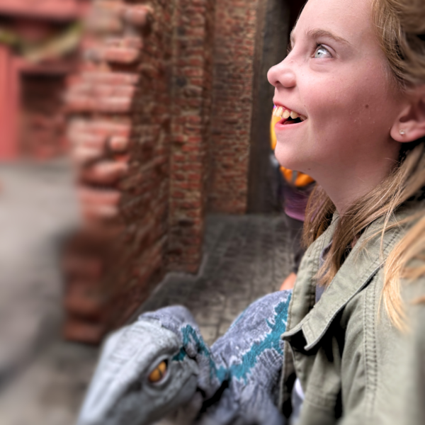 little girl looking woth awe through the walls of Diagon Alley at Universal Orlando